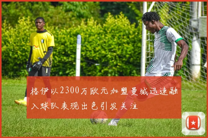格伊以2300万欧元加盟曼城迅速融入球队表现出色引发关注